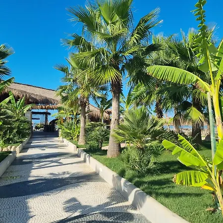 Bay Breeze 293 * Plazhi San Pietro